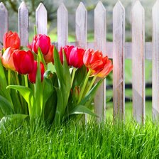 Схема вышивки «№1016377»