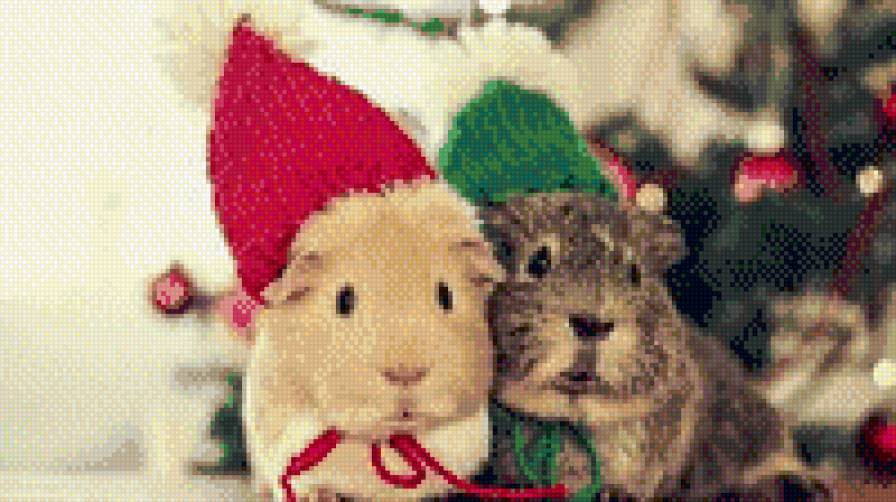 №1016384 - предпросмотр