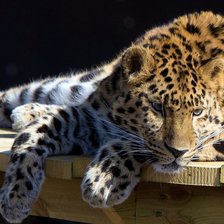 Схема вышивки «№1016389»