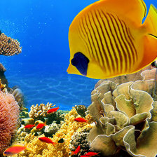 Схема вышивки «№1016415»