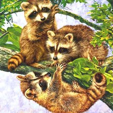 Схема вышивки «в мире животных»