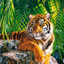 Схема вышивки «Отдых тигра.»