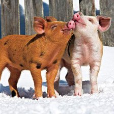 Схема вышивки «поцелуйчик»