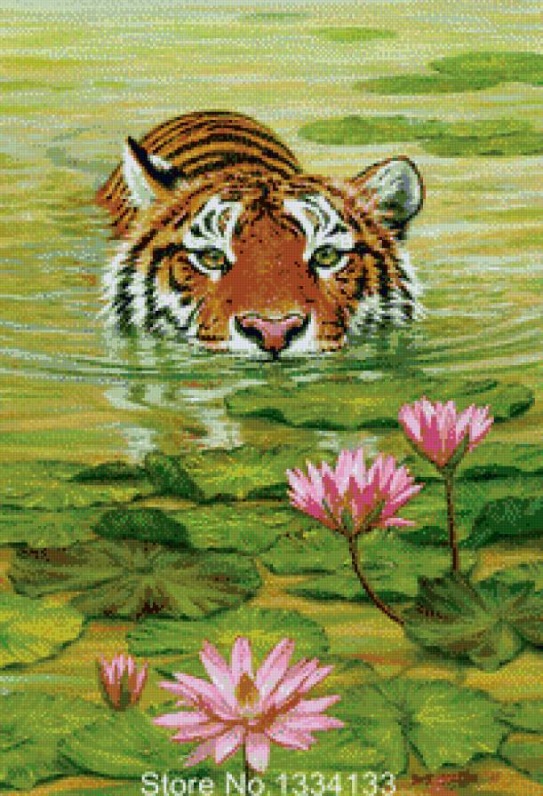 Тигр и лотосы. - тигр, лотосы, вода - предпросмотр