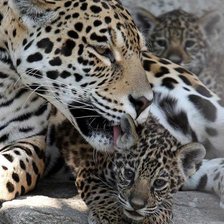 Схема вышивки «материнство»