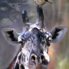 Схема вышивки «Высоко сижу, далеко гляжу»