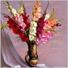 Схема вышивки «гладиолусы»