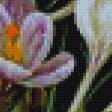 Предпросмотр схемы вышивки «крокусы» (№1017056)