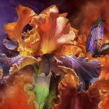 Схема вышивки «№1017087»