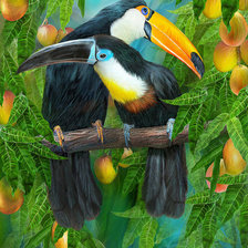 Схема вышивки «№1017559»