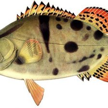 Схема вышивки «рыба_»