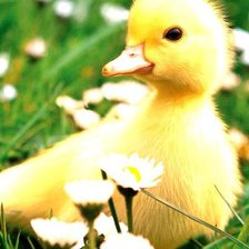 Схема вышивки «№1017858»