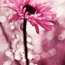 Схема вышивки «№1017925»