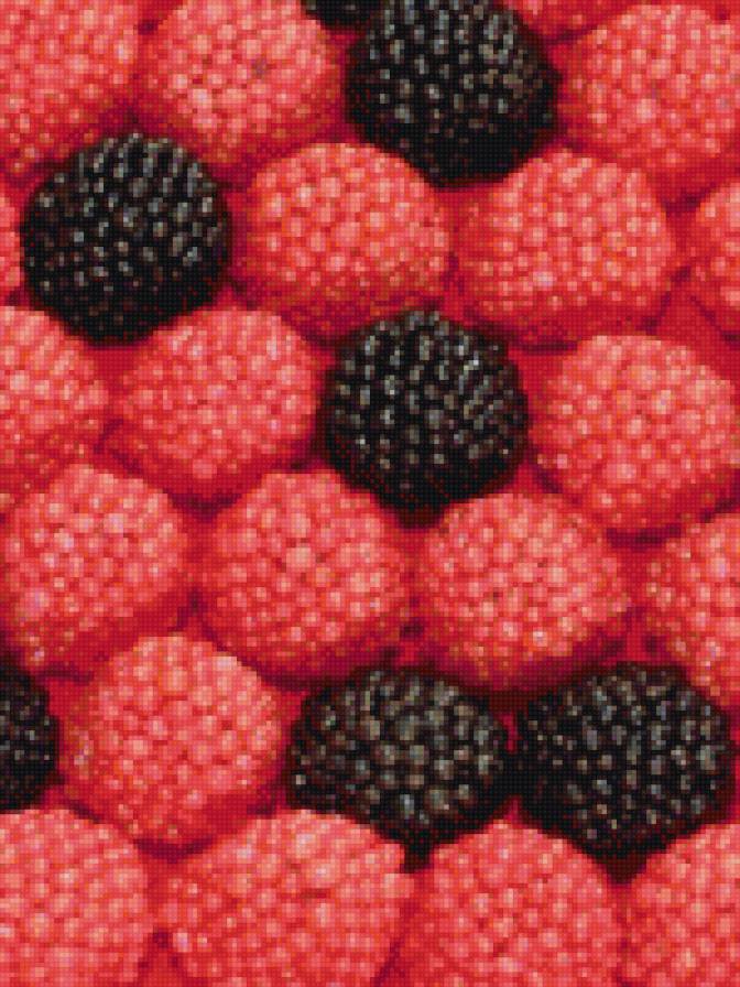 №1017933 - малина, ягоды, ежевика - предпросмотр