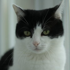 Схема вышивки «№1018064»