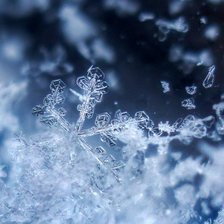 Схема вышивки «№1018282»