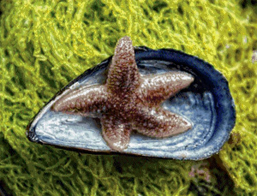 №1018297 - предпросмотр