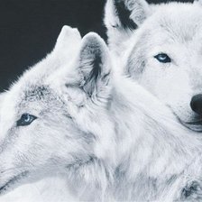 Схема вышивки «влюбленные»