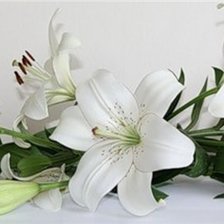 Схема вышивки «белые лилии»