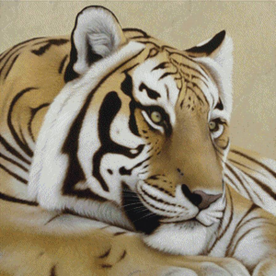 тигр - тигр, хищник - предпросмотр