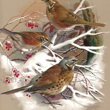 Схема вышивки «083»