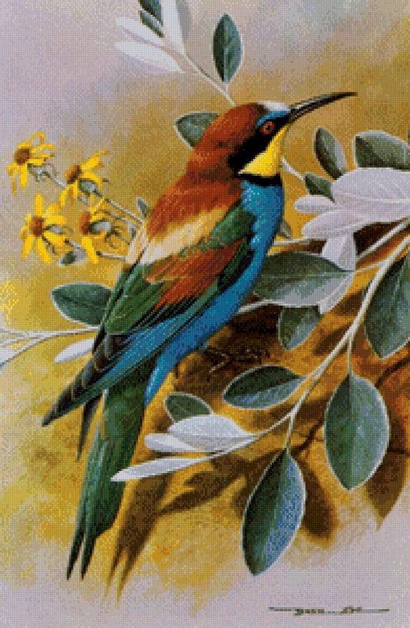 084 - предпросмотр