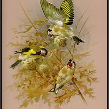 Схема вышивки «087»