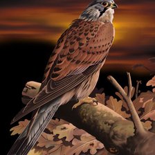 Схема вышивки «088»