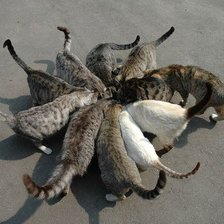 Схема вышивки «Цветник»