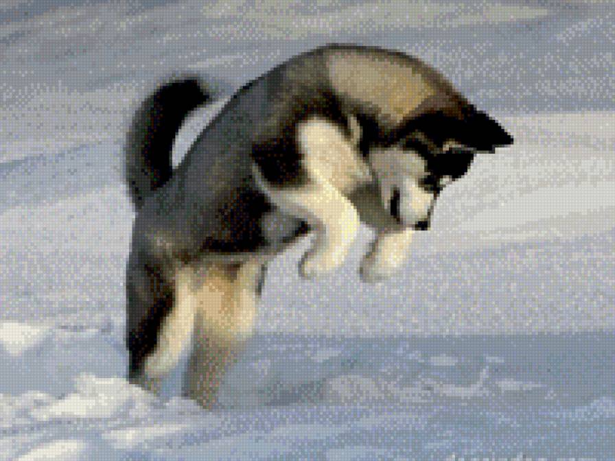 Прыжок - предпросмотр