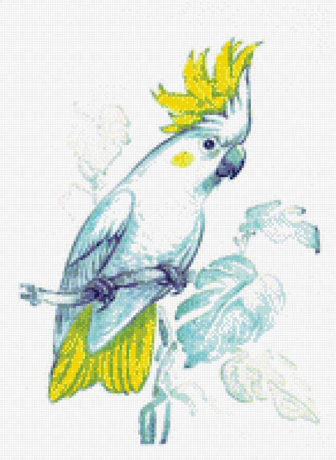 попугай - живопись, птицы - предпросмотр