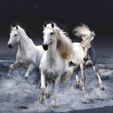 Схема вышивки «Лошади»