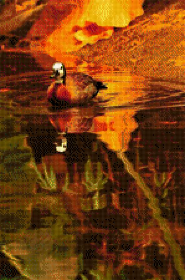 уточка - птицы - предпросмотр