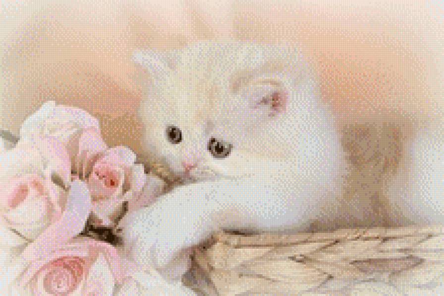 нежность - кошки - предпросмотр