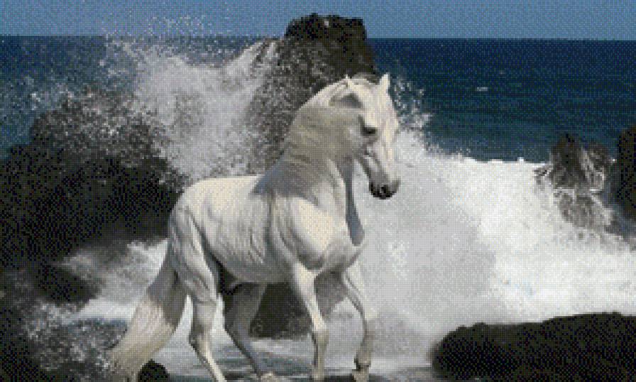 лошадь и море - лошади - предпросмотр