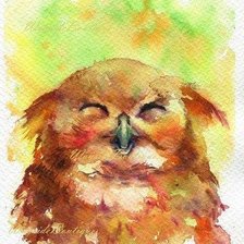 Схема вышивки «Cовушка»