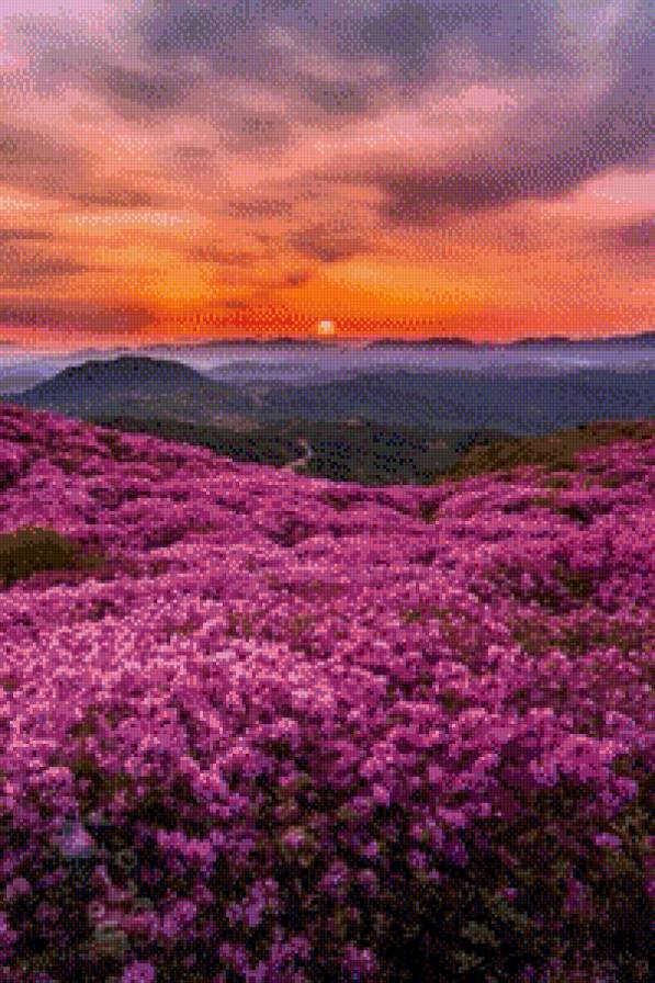 Пейзаж - природа, закат, пейзаж - предпросмотр