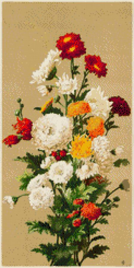 хризантемы - цветы - предпросмотр