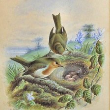 Схема вышивки «птички»