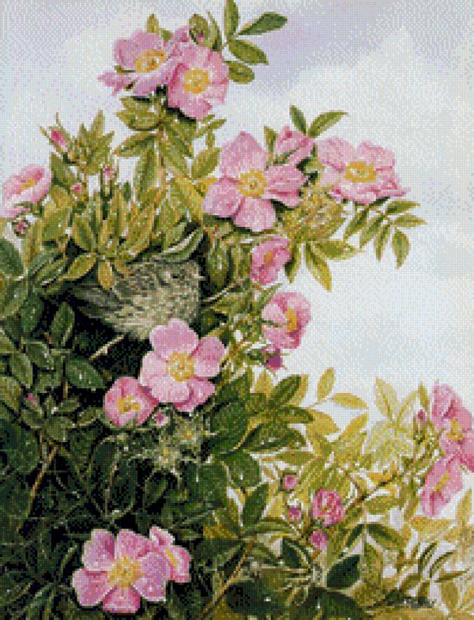 птица в шиповнике - птицы - предпросмотр