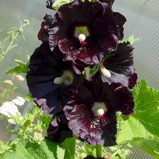 Схема вышивки «Как В Детстве»