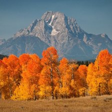 Схема вышивки «Пейзаж»