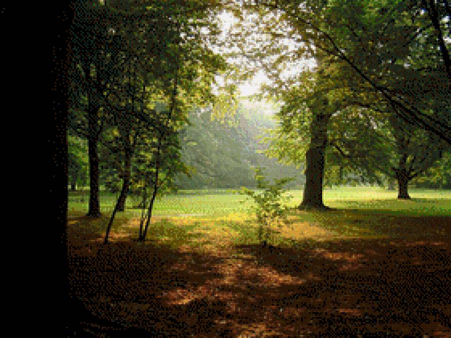 НА СОЛНЕЧНОЙ ПОЛЯНОЧКЕ - лес, солнце - предпросмотр