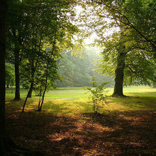 Схема вышивки «НА СОЛНЕЧНОЙ ПОЛЯНОЧКЕ»