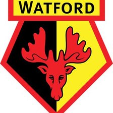 Схема вышивки «уотфорд»