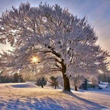 Схема вышивки «Мир»