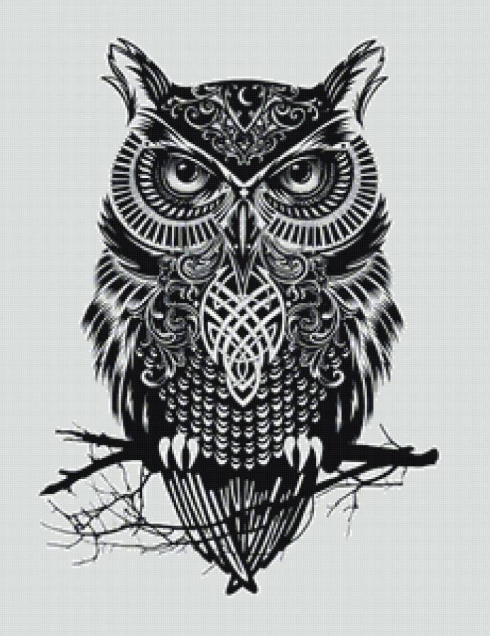 Сова - птица, сова, монотонно - предпросмотр