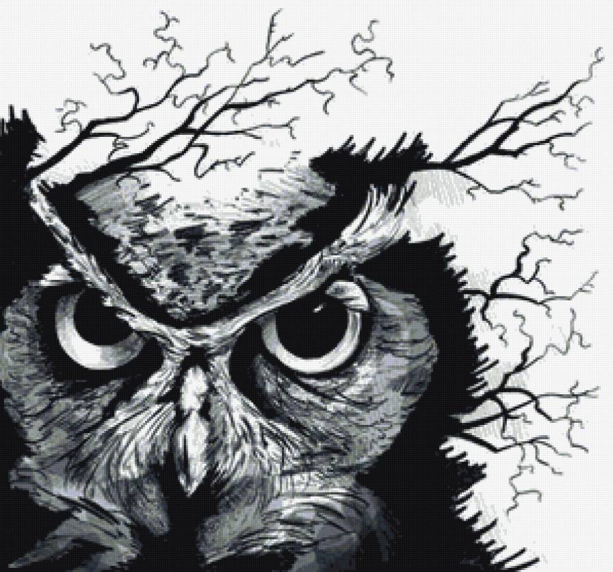 Сова - сова, птица - предпросмотр