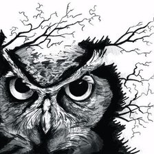 Схема вышивки «Сова»