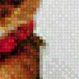 Предпросмотр схемы вышивки «Абиссинка» (№1021338)